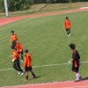 T_SAM_0194